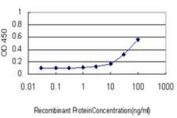 JAM-B/VE-JAM Antibody (1G4), Novus Biologicals 0.1 mg | Buy Online | Novus Biologicals | Fisher Scientific