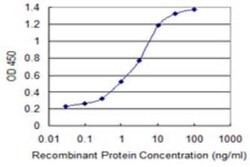 JMJD1C Antibody (3A8), Novus Biologicals 0.1 mg; Unconjugated:Antibodies,