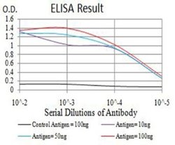 JMJD2B Antibody (3A6H6) - BSA Free, Novus Biologicals:Antibodies:Primary
