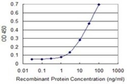 JNK1 Antibody (2F11), Novus Biologicals 0.1 mg | Buy Online | Novus Biologicals | Fisher Scientific