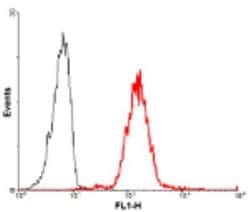Jagged 1 Antibody (J1G53-3) - Azide and BSA Free, Novus Biologicals 100