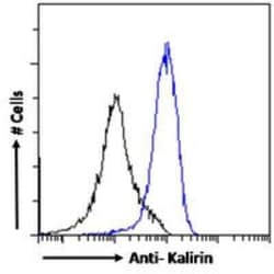 KALRN Antibody, Novus Biologicals 0.1 mg; Unconjugated:Anticuerpos