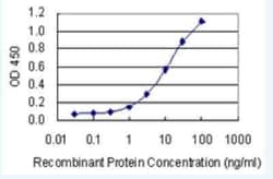 Novus Biologicals KCNK1 Antibody (4D7), Novus Biologicals 100 &mu;g; Unconjugated:Antibodies,