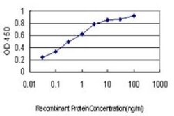KIF15 Antibody (4D4), Novus Biologicals 0.1 mg | Buy Online | Novus Biologicals | Fisher Scientific
