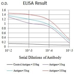 KIR3DL1 Antibody (6D9A4) - BSA Free, Novus Biologicals 0.1 ml; Unconjugated:Antibodies,