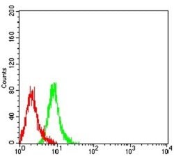 KIR3DL1 Antibody (6D9A4) - BSA Free, Novus Biologicals 0.1 ml; Unconjugated:Antibodies,