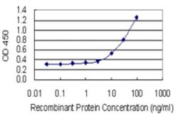 KIR3DX1 Antibody (2H4), Novus Biologicals 0.1 mg | Buy Online | Novus Biologicals | Fisher Scientific