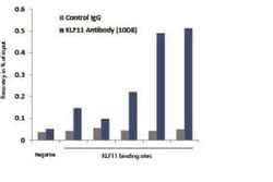 KLF11 Antibody (10D8), Novus Biologicals 0.1 mg | Buy Online | Novus Biologicals | Fisher Scientific