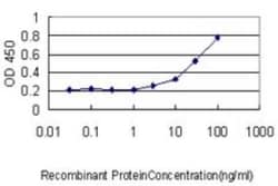 KLF7 Antibody (3E8-B8), Novus Biologicals 0.1 mg | Buy Online | Novus Biologicals | Fisher Scientific