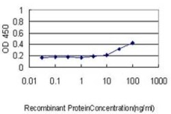 KRTHA3B Antibody (4A6-A7), Novus Biologicals 0.1 mg | Buy Online | Novus Biologicals | Fisher Scientific