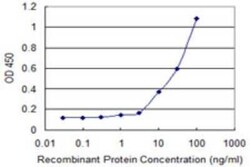 Kallikrein 13 Antibody (1G9), Novus Biologicals 0.1 mg | Buy Online | Novus Biologicals | Fisher Scientific