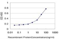Kaptin Antibody (1C7), Novus Biologicals 0.1 mg | Buy Online | Novus Biologicals | Fisher Scientific
