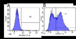 L-Selectin/CD62L, Rabbit anti-Human,Bovine,Chimpanzee, Clone: DREG-56, Novus Biologicals 0.025 mg | Buy Online | Novus Biologicals | Fisher Scientific