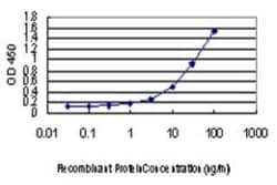 L3MBTL2 Antibody (4F4), Novus Biologicals 0.1 mg | Buy Online | Novus Biologicals | Fisher Scientific