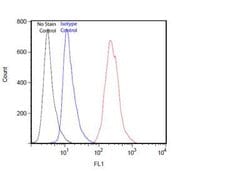 LAG-3, Mouse anti-Human,Monkey, Clone: 11000, Novus Biologicals 100 &mu;g | Buy Online | Novus Biologicals | Fisher Scientific
