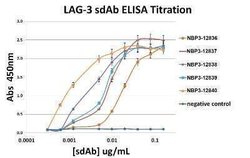 LAG-3 Antibody (1A6) - VHH - Azide and BSA Free, Novus Biologicals 0.1 mg | Buy Online | Bio-Techne | Fisher Scientific