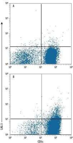 LAG-3 Antibody Pack, Novus Biologicals™