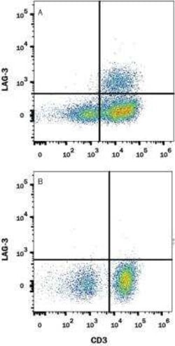 LAG-3 Antibody Pack, Novus Biologicals 3 Vials; Unconjugated:Antibodies,