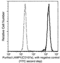 LAMP-1/CD107a Rabbit anti-Human, Clone: 107, Novus Biologicals:Antibodies:Primary