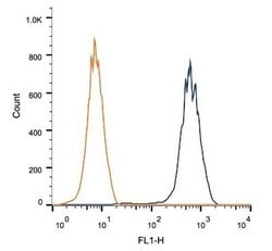 LAMP-2/CD107b Antibody (H4B4) - Azide and BSA Free, Novus Biologicals 0.1