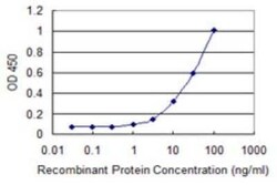 LCMT1 Antibody (3D3), Novus Biologicals 0.1 mg | Buy Online | Novus Biologicals | Fisher Scientific