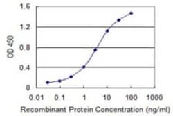 LDB3 Antibody (2C1), Novus Biologicals 0.1 mg | Buy Online | Novus Biologicals | Fisher Scientific