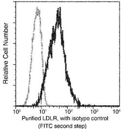 LDLR Rabbit anti-Human, Clone: 301, Novus Biologicals 50 &mu;g | Buy Online | Novus Biologicals | Fisher Scientific