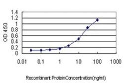 LEDGF Antibody (3H1), Novus Biologicals 0.1 mg | Buy Online | Novus Biologicals | Fisher Scientific