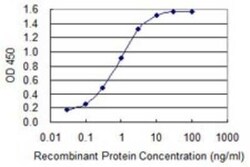LETM1 Antibody (2C6), Novus Biologicals 0.1 mg | Buy Online | Novus Biologicals | Fisher Scientific