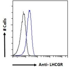 LHR Antibody, Novus Biologicals LHR Antibody; Unconjugated; 0.1 mg:Antibodies,