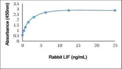 LIF Antibody, Novus Biologicals 0.025 mg; Unconjugated:Antibodies, Polyclonal