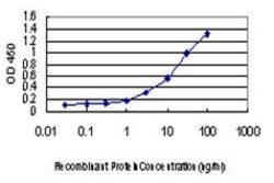 LIM domain only 3 Antibody (4C4), Novus Biologicals 0.1 mg | Buy Online | Novus Biologicals | Fisher Scientific