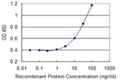 LMO4 Antibody (2B6), Novus Biologicals 0.1 mg | Buy Online | Novus Biologicals | Fisher Scientific