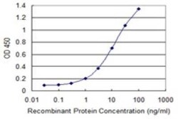 LYPLA1 Antibody (3D5), Novus Biologicals 0.1 mg | Buy Online | Novus Biologicals | Fisher Scientific