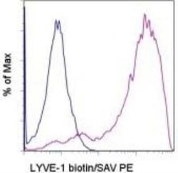 LYVE-1 Antibody (ALY7) - BSA Free, Novus Biologicals:Antibodies:Primary