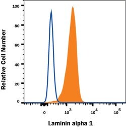 Human Laminin alpha 1 Antibody, R D Systems 25 &mu;g; Unconjugated:Antibodies,