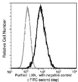 Latexin Antibody (02), Novus Biologicals 50 &mu;g | Buy Online | Novus Biologicals | Fisher Scientific