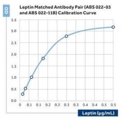 Leptin/OB Mouse anti-Human, Clone: 11, Novus Biologicals 0.025 mg; Unconjugated:Antibodies,