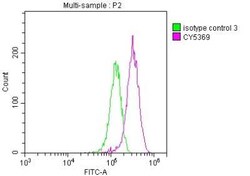 Lgr5/GPR49 Antibody (4H8), Novus Biologicals 100 &mu;g | Buy Online | Novus Biologicals | Fisher Scientific