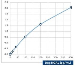 Lipocalin-2/NGAL Mouse anti-Canine, Clone: 14, Novus Biologicals:Antibodies:Primary