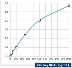 Lipocalin-2/NGAL Mouse anti-Monkey, Clone: 56, Novus Biologicals:Antibodies:Primary