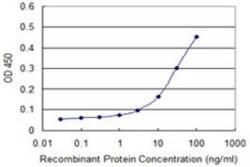 Novus Biologicals Lunatic Fringe Antibody (2D10-3C11), Novus Biologicals 0.1 mg | Buy Online | Novus Biologicals&trade; | Fisher Scientific
