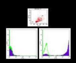 Ly-6G/Ly-6C Antibody (RB6-8C5), PE, Novus Biologicals 0.1 mL; PE:Antibodies,