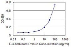 Lyp/PTPN22 Antibody (4F6), Novus Biologicals 0.1 mg | Buy Online | Novus Biologicals | Fisher Scientific
