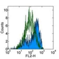 M-CSFR/CD115 Antibody (AFS98) - BSA Free, Novus Biologicals:Antibodies:Primary