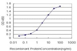 MARCKS like protein Antibody (8C8), Novus Biologicals 0.1 mg; Unconjugated:Antikörper