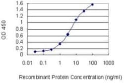 MATH1 Antibody (1B12), Novus Biologicals 0.1 mg | Buy Online | Novus Biologicals | Fisher Scientific