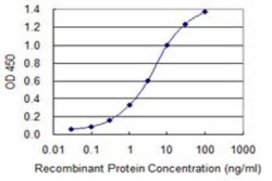 Novus Biologicals MBD5 Antibody (4A12-1B6), Novus Biologicals 0.1 mg | Buy Online | Novus Biologicals&trade; | Fisher Scientific