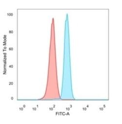 MBNL3 Mouse anti-Human, Clone: PCRP-MBNL3-1D11, Novus Biologicals:Antibodies:Primary