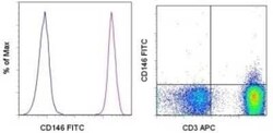 MCAM/CD146 Antibody (P1H12) - BSA Free, Novus Biologicals:Antibodies:Primary